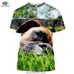 SONSPEE Animal Boxer Dog 3D Print Men's T Shirt Plus Size Fashion Casual O Neck Short Sleeve Men Women Funny Tees Tops Shirts