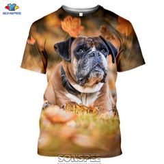 SONSPEE Animal Boxer Dog 3D Print Men's T Shirt Plus Size Fashion Casual O Neck Short Sleeve Men Women Funny Tees Tops Shirts